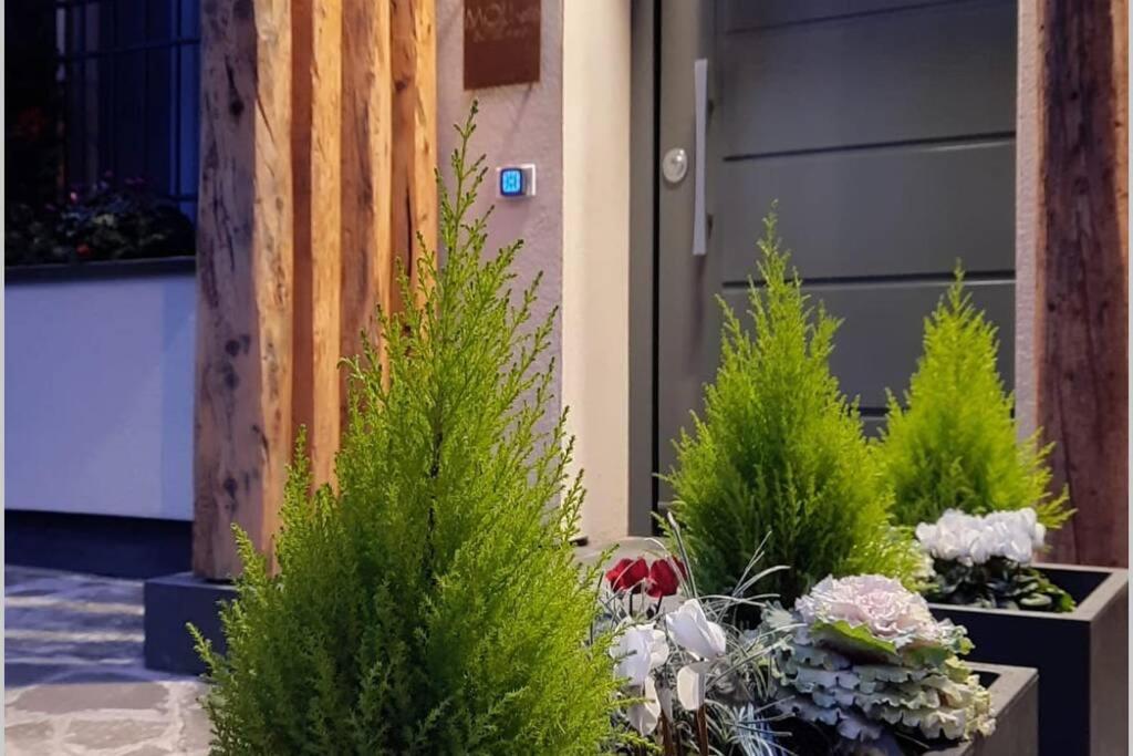 Apartment Moderna A Due Passi Dal Centro